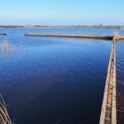 Wetterskip Fryslân maakt 15 km aan oevers natuurlijker