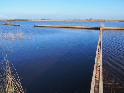 Wetterskip Fryslân maakt 15 km aan oevers natuurlijker