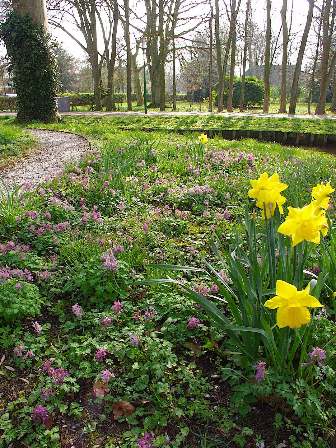 Kasteeltuin