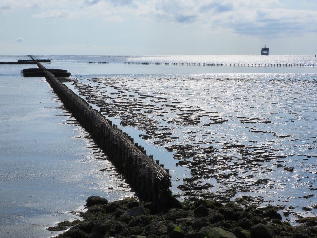 Waddenzee