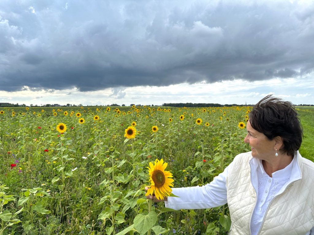 dame en zonnebloemen