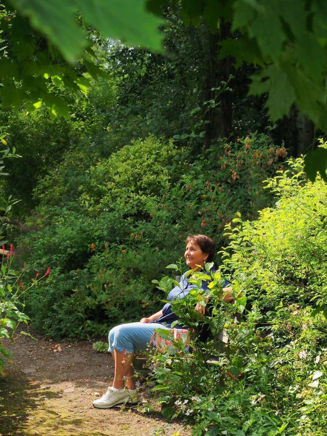 De Oevertuin Foto: Albert Hendriks Fries Nieuws