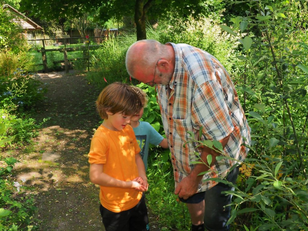 Oevertuin