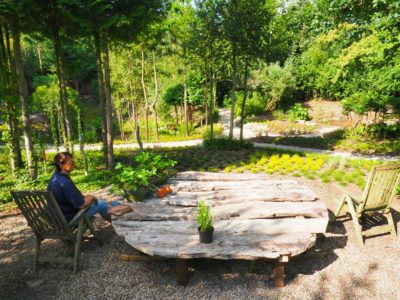 Een alpine tuin vol verrassingen in Friesland: De Oevertuin