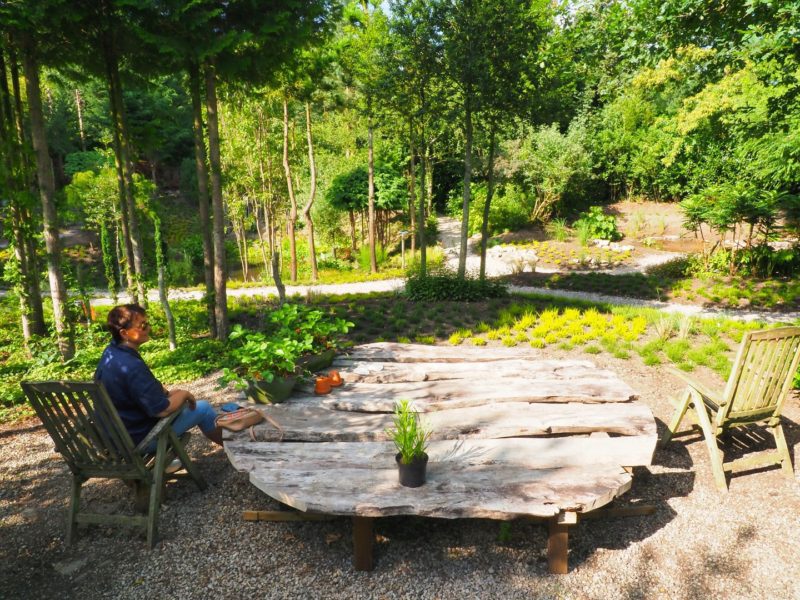 Een alpine tuin vol verrassingen in Friesland: De Oevertuin