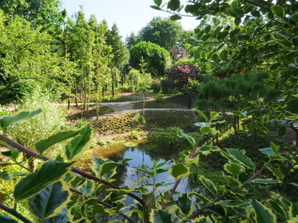 De Oevertuin Foto: Albert Hendriks Fries Nieuws