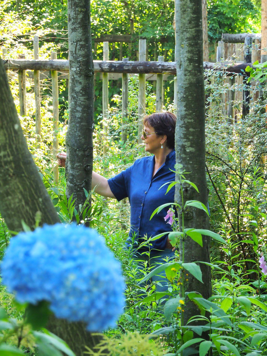 De Oevertuin Foto: Albert Hendriks Fries Nieuws