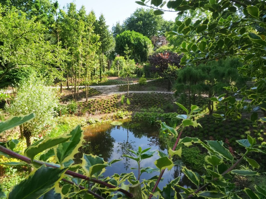 De Oevertuin Foto: Albert Hendriks Fries Nieuws