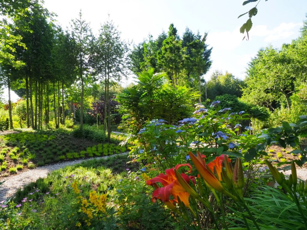 De Oevertuin Foto: Albert Hendriks Fries Nieuws