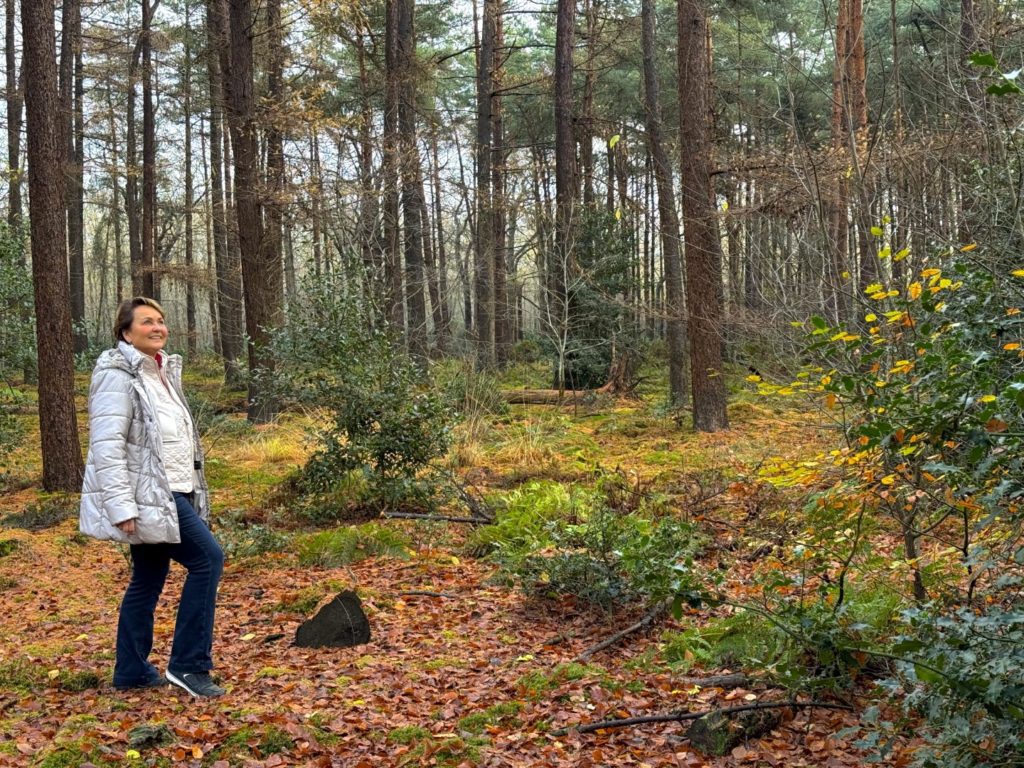 350 Jaar Koninklijk Oranjewoud
