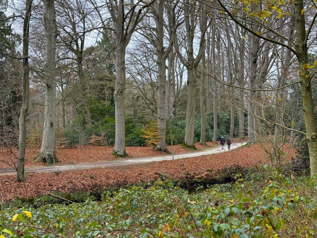 350 Jaar Koninklijk Oranjewoud