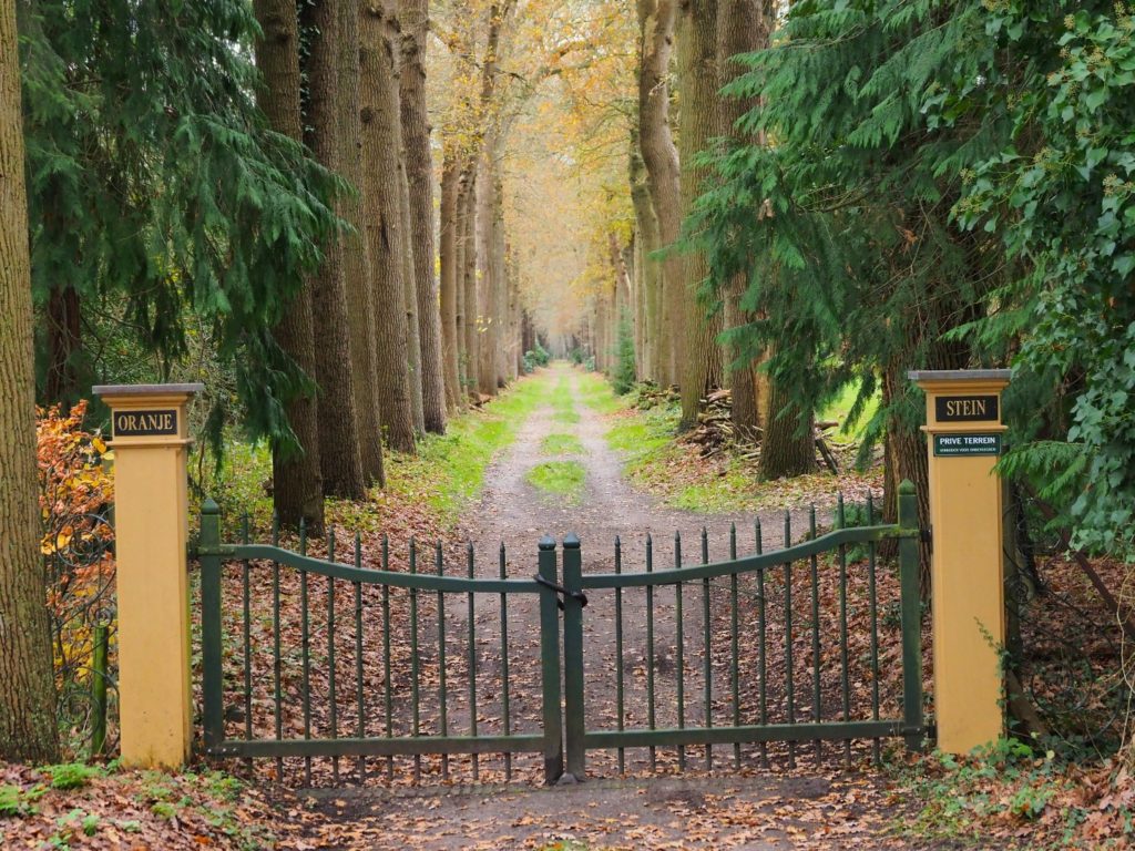 350 Jaar Koninklijk Oranjewoud