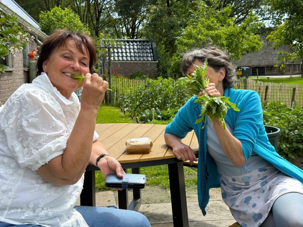 Groentetuin
